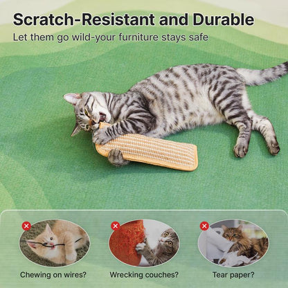 🐱Interactive Catnip Chew Toy with [6000mg A+ Organic Catnip], Soft Sisal Material Scratching and Kicker Cat Toys for Indoor Kittens, Drives Bored Cats Crazy with Fun
